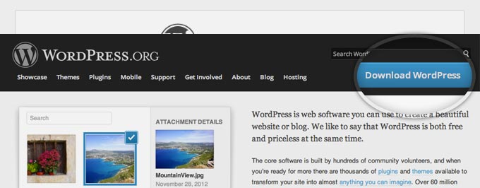 Download WordPress