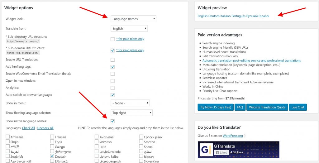 Translate wordpress with GTranslate plugin options