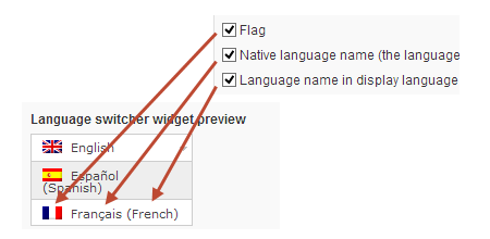 wpml custom language switcher options