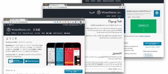 WordPress Languages